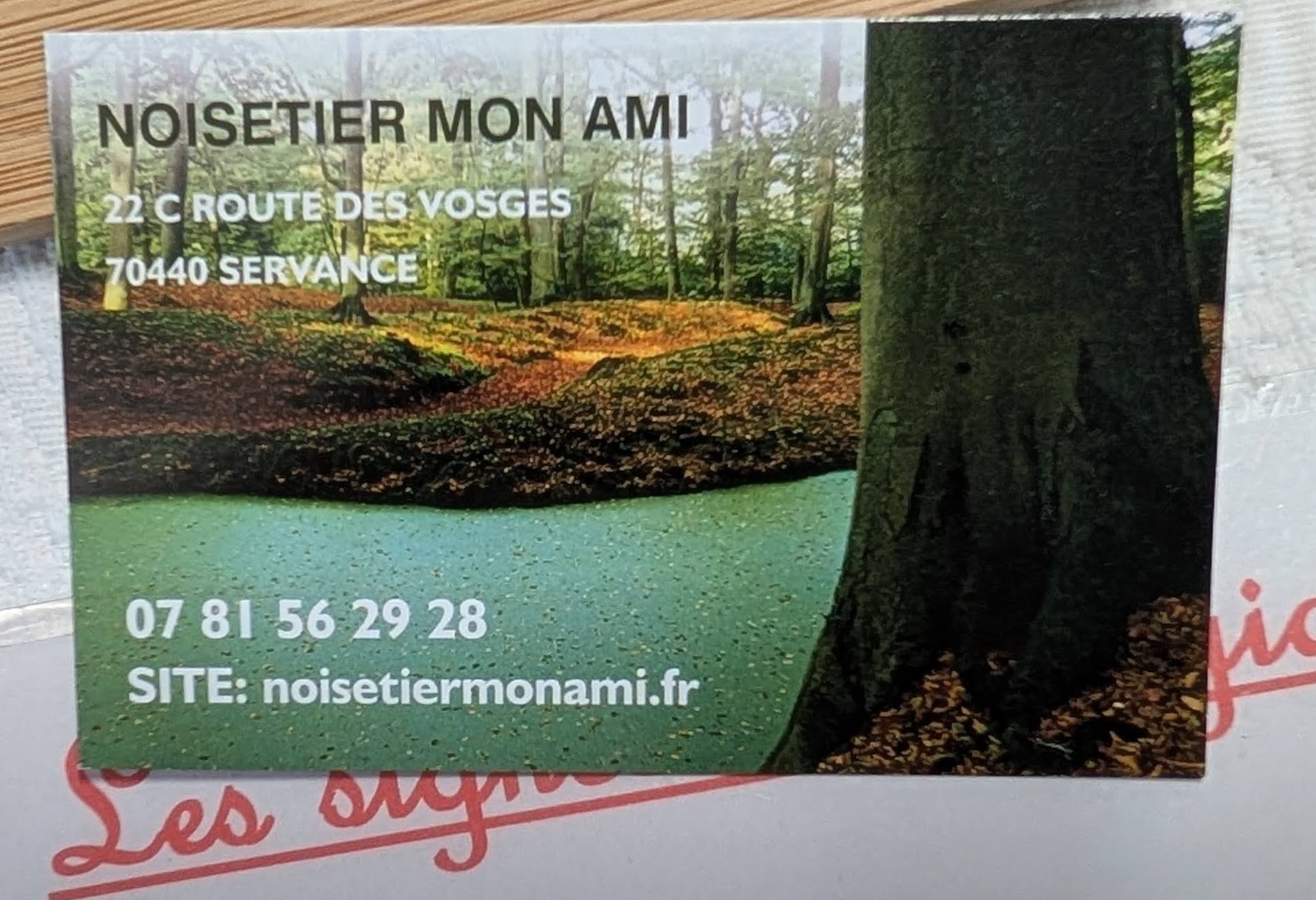 PXL 20260612 100340804