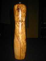 Poivrier en olivier de Tunisie