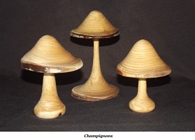 Champignons (1)