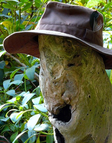 3915193310 10b3e4ff92 - Copie